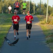 2022 Zoomer Wantij Run_10km_EM_Rob Sportfotografie_ROB_8820